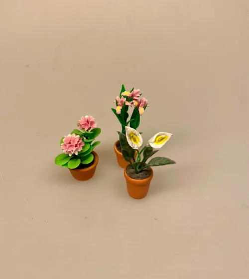 Miniature Potte med Fredslilje, 70291, hortensia, rosa, hvid, iris, blomst, urtepotte