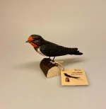 Naturens fugle af træ - Svale, svale, svalehale, landsvale, swallow, træsvale, svalefigur, træfugl, træfigur, håndlavet, håndsnittet, kunsthåndværk, natur, vejleder, vadehavet, fugle, ornitolog, fugleliv, fugle i farver, danske, fauna, flora, en svale gør ingen sommer, en enkelt svale, telefonmaster, biti, ribe, nationalpark