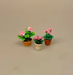 Miniature Potte med Lyserøde blomster, pelargonie, cyklamen, juleblomst, blomst, urtepotte, Miniature Potte med Lyseblå blomster, Miniature Potte med Gule blomster, for glem mig ej, smørblomster, marguritter, margeritter, have, havearbejd, planteskole, miniaturer, dukkehus, ting til, dukkehus, dukketing, dukkehusting, nisser, nissetilbehør, nissedør, små, sættekasse, sætterkasse, sættekasseting, amagerhylde, små blomster, mini, biti, ribe,havearkitekt, landskabsarkitekt,