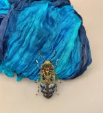 Håndlavet Broche Blå Bille, kryb, krible, krable, billebroche, insektsmykker, insekt, insekter, bio, biodiversitet, natur, vild, vilde, blomster, bestøvning, naturvejleder, nationalpark, vadehavet, speciel, kunsthåndværk, kunst, eksklusiv, håndarbejde, perler, broderibe, broderet, smykke, gave, gaveide, elsker, biolog, biologi, naturvidenskab, smuk, biti, ribe