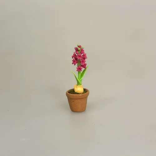 Miniature Potte med Hyacint, hyacinter, forår, jul, juleblomst, mini, miniature, dukkehus, blomster, til, tilbehør, ting til, dukkehusblomster, dukkehusting, dukkehustilbehør, nisser, nissebo, nissehus, julestue, jul i, julepynt, 1:12, nissedør, birgitte frigast, biti,, ribe