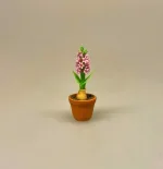 Miniature Potte med Hyacint, hyacinter, forår, jul, juleblomst, mini, miniature, dukkehus, blomster, til, tilbehør, ting til, dukkehusblomster, dukkehusting, dukkehustilbehør, nisser, nissebo, nissehus, julestue, jul i, julepynt, 1:12, nissedør, birgitte frigast, biti,, ribe