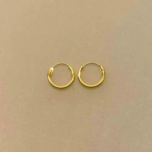 Creoler - Ø 12 mm Øreringe Forgyldt Sølv - Glatte Hoops 2 mm, søg, 2012, små, tykke, chunky, kraftige, creoler, hoops, runde, øreringe, ørenringe, ringe, ægte, guld, forgyldt, sterling sølv, forgyldt sølv, billige, god kvalitet, holdbare, stine a, enamel, maanesten, danske mærker, danske, brands, design, små, guldøreringe, guldhoops, biti, ribe