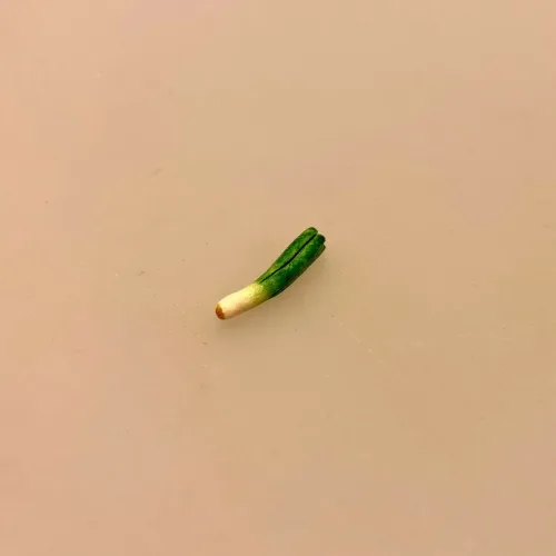 Miniature Porre, grøntsager, miniaturer, dukkehus, mad, grønt, veganer, vegetar, minimad, miniaturemad, nisser, nisseting, nissetilbehør, køkken, madlavning, sundt, nissedør, dukkehusting, dukkehusmad, biti, ribe, suppe, symbolsk, sangskjuler, 1:12