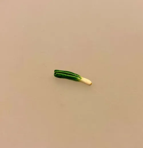 Miniature Porre, grøntsager, miniaturer, dukkehus, mad, grønt, veganer, vegetar, minimad, miniaturemad, nisser, nisseting, nissetilbehør, køkken, madlavning, sundt, nissedør, dukkehusting, dukkehusmad, biti, ribe, suppe, symbolsk, sangskjuler, 1:12