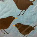 Servietter med Solsort - Blå, solsort, blackbird, danske, fugle, i farver, kigger på, havens, ornitolog, vadehavet, sort sol, nationalpark, søde, fine, flotte, fugleservietter, ting med, borddækning, biti, ribe