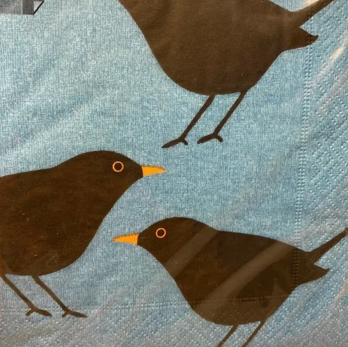 Servietter med Solsort - Blå, solsort, blackbird, danske, fugle, i farver, kigger på, havens, ornitolog, vadehavet, sort sol, nationalpark, søde, fine, flotte, fugleservietter, ting med, borddækning, biti, ribe