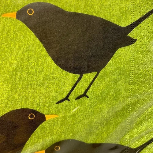 Servietter med Solsort - Grøn, græsgrøn, forårs, påske, konfirmation, solsort, blackbird, danske, fugle, i farver, kigger på, havens, ornitolog, vadehavet, sort sol, nationalpark, søde, fine, flotte, fugleservietter, ting med, borddækning, biti, ribe
