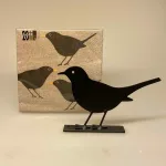 Servietter med Solsort - Nougat, lysebrun, hørfarvet, beige, solsort, blackbird, danske, fugle, i farver, kigger på, havens, ornitolog, vadehavet, sort sol, nationalpark, søde, fine, flotte, fugleservietter, ting med, borddækning, biti, ribe