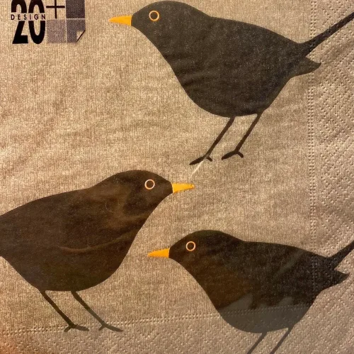 Servietter med Solsort - Nougat, lysebrun, hørfarvet, beige, solsort, blackbird, danske, fugle, i farver, kigger på, havens, ornitolog, vadehavet, sort sol, nationalpark, søde, fine, flotte, fugleservietter, ting med, borddækning, biti, ribe