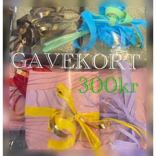 GAVEKORT - 300 Kr.