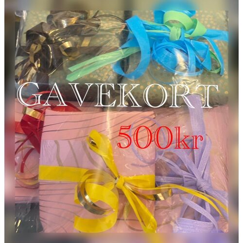 GAVEKORT - 500 Kr.
