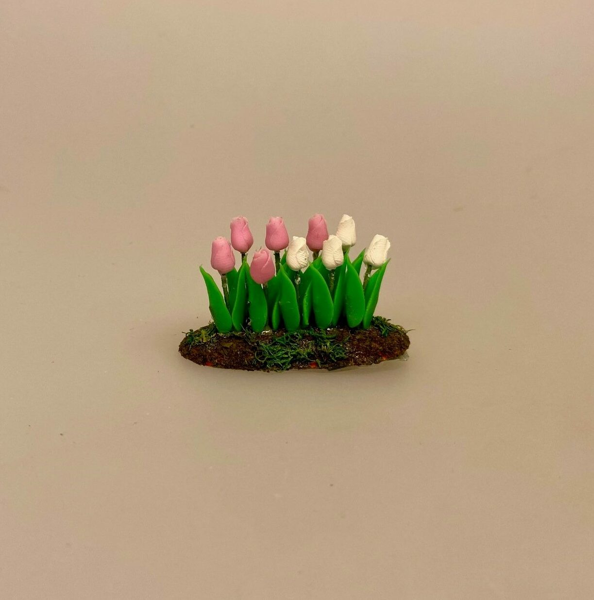 Miniature Bed med Tulipaner Hvid Rosa, 7068 v/P, påske, forår, forårsblomster, forårsbed, tulipanbed, biti, ribe, gartner, planteskole, have, havearbejde, biti, ribe, tulipanfest, løgplanter, blomsterløg,