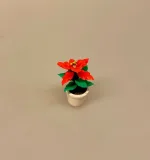 Miniature Potte med Rød Julestjerne - Billede 11