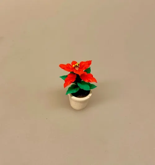 Miniature Potte med Rød Julestjerne - Billede 11