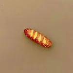 Miniature Surdejsbrød, lamgtidshævet, gammeldags, brød, bagværk, franskbrød, bagekursus, bager, bageri, bagerbutik, konditori, gave, symbolsk, dukkehus, ting, tilbehør, nisser, nissebo, nissedør, nisserne, biti, ribe, sættekasse, sætterkasse, 1:12