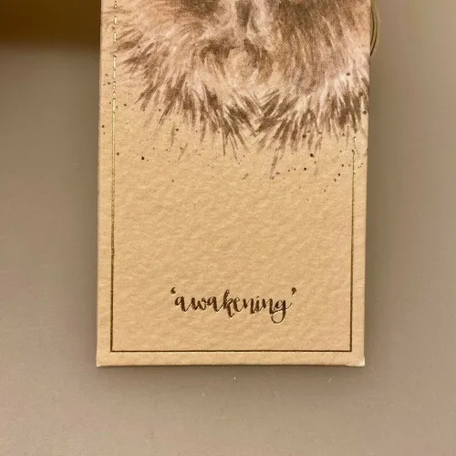 Bogmærke Karton med Pindsvin, pindgris, skovens dyr, dansk, danmarks, fauna, dyreliv, vild natur, wrendale, bogmærke, læsehest, elsker bøger, gavekort, til bøger, boggave, æseløre, gaveide, naturen, biti, ribe,