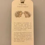 Bogmærke Karton med Pindsvin, pindgris, skovens dyr, dansk, danmarks, fauna, dyreliv, vild natur, wrendale, bogmærke, læsehest, elsker bøger, gavekort, til bøger, boggave, æseløre, gaveide, naturen, biti, ribe,