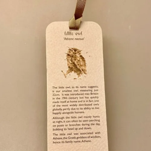 Bogmærke Karton med Ugler, wrendale, birds of a feather, natugle,Bogmærke Karton med Ugler, ugle, kloge, viden, lærdom, uddannelse, eksamen, gave, visdom, bogmærke, læsehest, elsker bøger, gavekort, til bøger, boggave, æseløre, gaveide, naturen, biti, ribe,