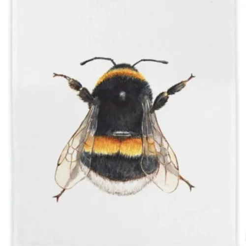 Viskestykke Bomuld med Tryk - Humlebi, maluu, viskestykke, bi, honningbi, brumbasse, humlebi, natur, vild med vilje, biodiversitet, balance,vild, grøftekant, bestøvning, køkken, tekstiler, lækker, kvalitet, naturvejleder, gave, gaveide, nyttig, praktisk, akvarel, bage, lave mad, kok, vadehavet, nationalpark, ribe, biti