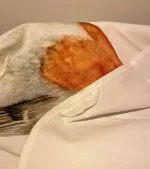 Viskestykke Bomuld med Tryk - Stor Rødhals, maluu, robin, køkkentekstiler, grydelap, pot grab, topflappen, rødhals, rødkælk, fugle, vinter, efterår, haven, haveliv, fuglebrædt, fodrer, fugle, kær, fugle i farver, danske, fugle, ornitolog, kigger på fugle, naturen, vilde, biti, ribe, sort sol, vadehavet, yndige, gave, gaveide, madlavning, praktisk, nyttig,