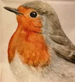 Viskestykke Bomuld med Tryk - Stor Rødhals, maluu, robin, køkkentekstiler, grydelap, pot grab, topflappen, rødhals, rødkælk, fugle, vinter, efterår, haven, haveliv, fuglebrædt, fodrer, fugle, kær, fugle i farver, danske, fugle, ornitolog, kigger på fugle, naturen, vilde, biti, ribe, sort sol, vadehavet, yndige, gave, gaveide, madlavning, praktisk, nyttig,