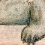 Viskestykke Bomuld med Tryk - Stor Sæl, sælsafari, vadehavet, dige, nationalpark, køkken, madlavning, kok, gave gaveide, souvenir, kær, natur, havet, marsken, biti, ribe