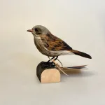 Jernspurv, dunnuck, WG427, wildlife garden, spurvefugl, danske fugle, fugle i farver, fuglefigur, model, træfugl, træfigur, wildlife garden, decobird, ornitolog, ornitologisk, samler, fugle, fugl, fugle entusiast, natur, den danske natur, fugleliv, gave, gaveide, jeg kigger på fugle, realistisk, naturlig, naturelsker, Biti, Ribe,Naturens fugle af træ - Gråspurv, Naturens fugle af træ - Jernspurv