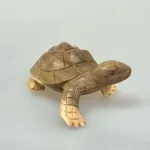 Skildpadde - Håndskåret af Træ, træskildpadde, pilskadde, træfigur, trædyr, håndskåret, håndlavet, træskærearbejde, turtoise, turtle, figur, kunst, kunsthåndværk, biti, ribe