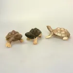 Skildpadde - Håndskåret af Træ, træskildpadde, pilskadde, træfigur, trædyr, håndskåret, håndlavet, træskærearbejde, turtoise, turtle, figur, kunst, kunsthåndværk, biti, ribe