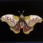 Håndlavet Broche Rosa Kejser Natsommerfugl, TL-B-651, emperor mopane moth, kejsernatsommerfugl, natsværmer, kejser, møl, gonimbrasia belina, stor, dæmpede, farver, varme, smuk, kunstværk, kunst, trovelore, særlig, unik, broderi, broderist, brodedribe, ribe, biti, smykke, broche, sommerfugl, sommerfuglebroche, sommerfuglesmykke, gave, gaveide, jubilæum, rund, fødselsdag, eksklusiv,