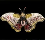 Håndlavet Broche Rosa Kejser Natsommerfugl, TL-B-651, emperor mopane moth, kejsernatsommerfugl, natsværmer, kejser, møl, gonimbrasia belina, stor, dæmpede, farver, varme, smuk, kunstværk, kunst, trovelore, særlig, unik, broderi, broderist, brodedribe, ribe, biti, smykke, broche, sommerfugl, sommerfuglebroche, sommerfuglesmykke, gave, gaveide, jubilæum, rund, fødselsdag, eksklusiv,