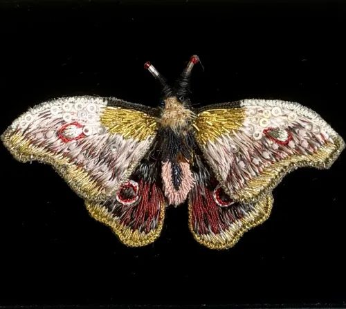 Håndlavet Broche Rosa Kejser Natsommerfugl, TL-B-651, emperor mopane moth, kejsernatsommerfugl, natsværmer, kejser, møl, gonimbrasia belina, stor, dæmpede, farver, varme, smuk, kunstværk, kunst, trovelore, særlig, unik, broderi, broderist, brodedribe, ribe, biti, smykke, broche, sommerfugl, sommerfuglebroche, sommerfuglesmykke, gave, gaveide, jubilæum, rund, fødselsdag, eksklusiv,