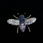 Håndlavet Broche Violet Træ Bi, violet carpenter, TL-B-692, trovelore, bi, bibroche, broche, lilla, blå, sølv, lille, kunstværk, unik, lille, bi, sur sur, omkring, bi, bier, honningbi, honningbier, bestøvning, biodiversitet, vild med vilje, natur, haver, blomster, bæredygtighed, insekter, kunst, smykker, broche, brocher, håndlavet, broderi, eksklusiv, særlig, flot, gave, gaveide, naturen, insekter, bio, biodiversitet, vilde, haver, natur, sommerfugl, farverig, regnbuefarvet, kulørt, farveglad, Håndlavet Broche Blå sommerfugl, sommerfuglebroche, smykker med, smykke med, sommerfugle, eksklusive smykker, specielle, særligt, håndlavey, kunst, kunsthåndværk, broche, naturen, insekter, gaveide, gave, særlig gave, ekstraordinær, smuk, smykker, biti, ribe, unika, one of a kind, limited edition, begrænset oplag, kunstrunden, ribe, vadehavet, nationalpark,, broderibe, broderi, festival