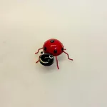 Metal Insekt - Mariehøne med Magnet, mariehøns, mariehøne, lady bug, käfer, marien, insekter, biodiversitet, økosystem, miljø, balance, naturen, vild, med vilje, sommer, dyreliv, metaldyr, metalinsekt, håndlavet, magnet, mariehøne, cirkeline, metalmagnet, kunst, sjov, unik, gave, biolog, biologi, naturvejleder, gave, symbolsk, godt vejr, metrolog, vejret, vejrudsigt, biti, ribe, vadehavet, nationalpark,