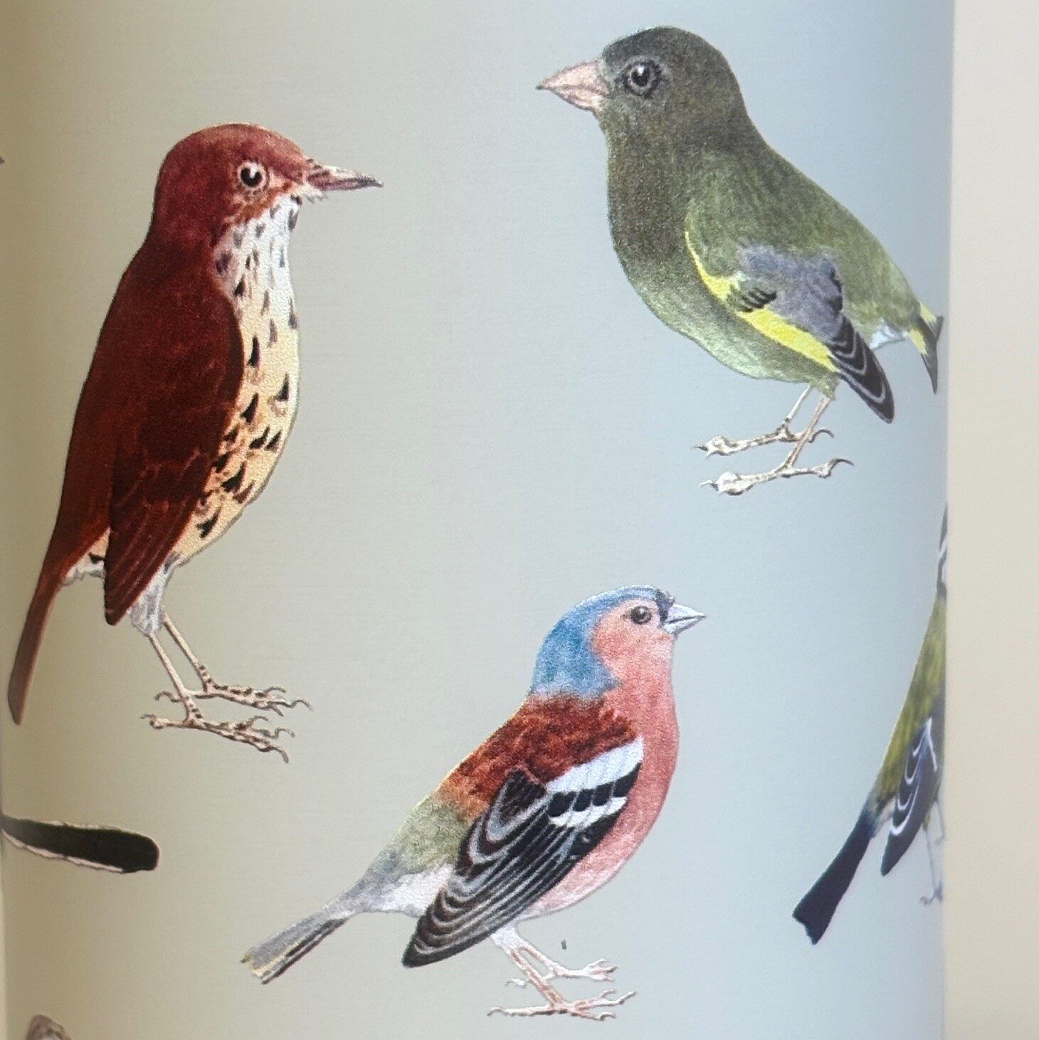 Drikkeflaske - Metal med Fugle, fugle i farver, danske, havens, vilde fugle, termoflaske, drikkedunk, drikkeflaske, saft, vanddunk, metalflaske, motion, med, fuglemotiv, ornitolog, natur, naturen, vadehavet, smart, flot, særlig, personlig, gave, symbolsk, på job, i skole, sass & Belle, lækker, kvalitet, miljø, rigtig, uden, biti, ribe, musvit, sangdrossel, blåmejse, halemejse, stillits, isfugl, gærdesmutte, bogfinke, rødkælk, rødhals, grønsisken, rjb,