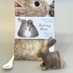 Ske Porcelæn - Skovens Dyr Kanin, teske, dessertske, lille, porcelæn, porcelænsske, hare, kanin, bunny, vintage, isabelle rose, yndig, barnedåb, dåbsgave, barselsgave, service, til, børn, gave, gaveide, biti, ribe, speciel, fin,