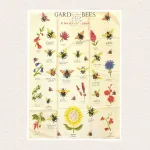 Viskestykke Bomuld med Vilde Bier, garden bees, bee attracting flowers, insekter, honningbi, biodiversitet, natur, flora, fauna, ballance, balance, vilde, blomster, biologi, biolog, naturvejleder, køkken, tekstiler, viskestykke, gave, gaveide, flot, lækker, bomuld, kvalitet, gaveide, solsikke, lavendel, humlebi, brumbasse, sommerfugle, busk, rex, biti, ribe, nationalpark, vadehavet, dansk,