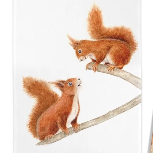 Viskestykke Bomuld med Tryk - Egern, røde, egern, køkken, ekstiler, viskestykke, smukt, flot, kvalitet, nyttigt, madlavning, bagning, dekorativt, kvalitet, julegave, gaveide, biti, ribe,