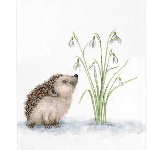 Viskestykke Bomuld med Tryk - Pindsvin, hedgehog, vintergækker, fint, haven, dyr, pindsvin, pindgris, viskestykke, nyttig, praktisk, anvendelig, gave, julegave, ide, akvarel, sød, flot, lækker, kvalitet, biti, ribe