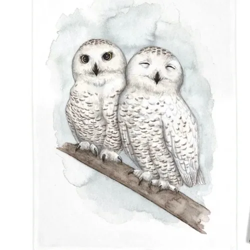 Viskestykke Bomuld med Tryk - Sneugler, snowy owls, køkken, tekstiler, viskestykke, fin, særlig, personlig, praktisk, anvendelig, brugbar, nyttig, gave, julegave, harry potter, hedwig, sneugle, akvarel, biti, ribe