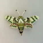 Håndlavet Broche Grøn Kolibri Aftensværmer, duehale, aftensværmer, hummingbird, moth, natsommerfugl, TL-B-993, hawk moth, hummingbird of the night, kolibrinatsværmer, grøn, hvid, lille, særlig, smuk, insekt, insektbrocher, sommerfuglebrocher, broderret, brodrede, broderibe, ribe, broderist, brodøse, broderikunst, kunsthåndværk nål, smykke, gave, gaveide, naturen, fauna, vild med vilje, miljø, biodiversitet, jubilæum, afskedsgave, kollega, rund fødselsdag,