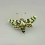 Håndlavet Broche Grøn Kolibri Aftensværmer, duehale, aftensværmer, hummingbird, moth, natsommerfugl, TL-B-993, hawk moth, hummingbird of the night, kolibrinatsværmer, grøn, hvid, lille, særlig, smuk, insekt, insektbrocher, sommerfuglebrocher, broderret, brodrede, broderibe, ribe, broderist, brodøse, broderikunst, kunsthåndværk nål, smykke, gave, gaveide, naturen, fauna, vild med vilje, miljø, biodiversitet, jubilæum, afskedsgave, kollega, rund fødselsdag,