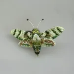 Håndlavet Broche Grøn Kolibri Aftensværmer, duehale, aftensværmer, hummingbird, moth, natsommerfugl, TL-B-993, hawk moth, hummingbird of the night, kolibrinatsværmer, grøn, hvid, lille, særlig, smuk, insekt, insektbrocher, sommerfuglebrocher, broderret, brodrede, broderibe, ribe, broderist, brodøse, broderikunst, kunsthåndværk nål, smykke, gave, gaveide, naturen, fauna, vild med vilje, miljø, biodiversitet, jubilæum, afskedsgave, kollega, rund fødselsdag,